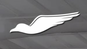Red bird